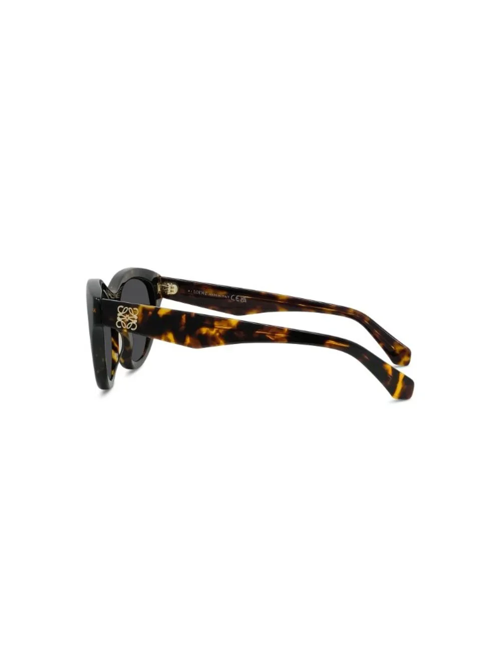 LOEWE new sunglasses